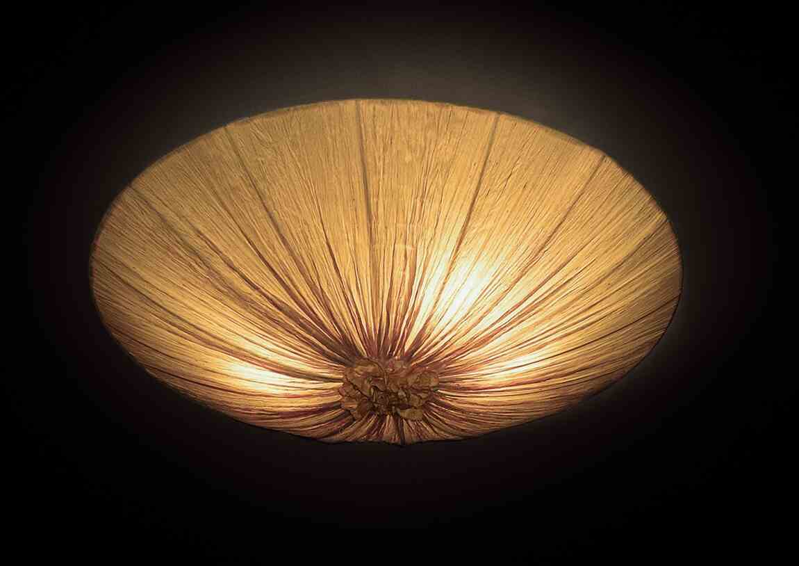 Avatar - Ceiling Light fixture